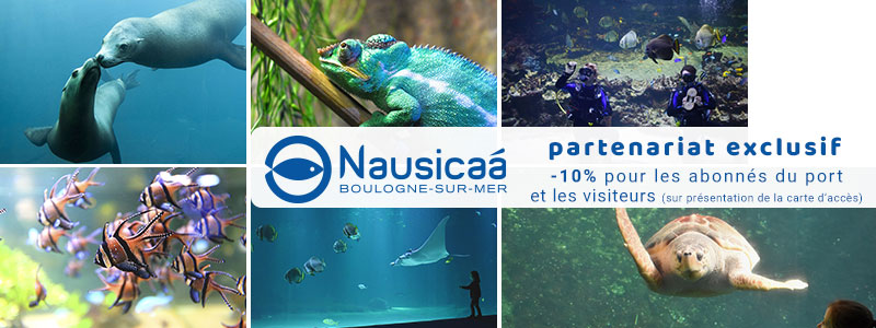 banniere-nausicaa-site-web.jpg Partenariat Nausicaa - port de plaisance Boulogne Marina
