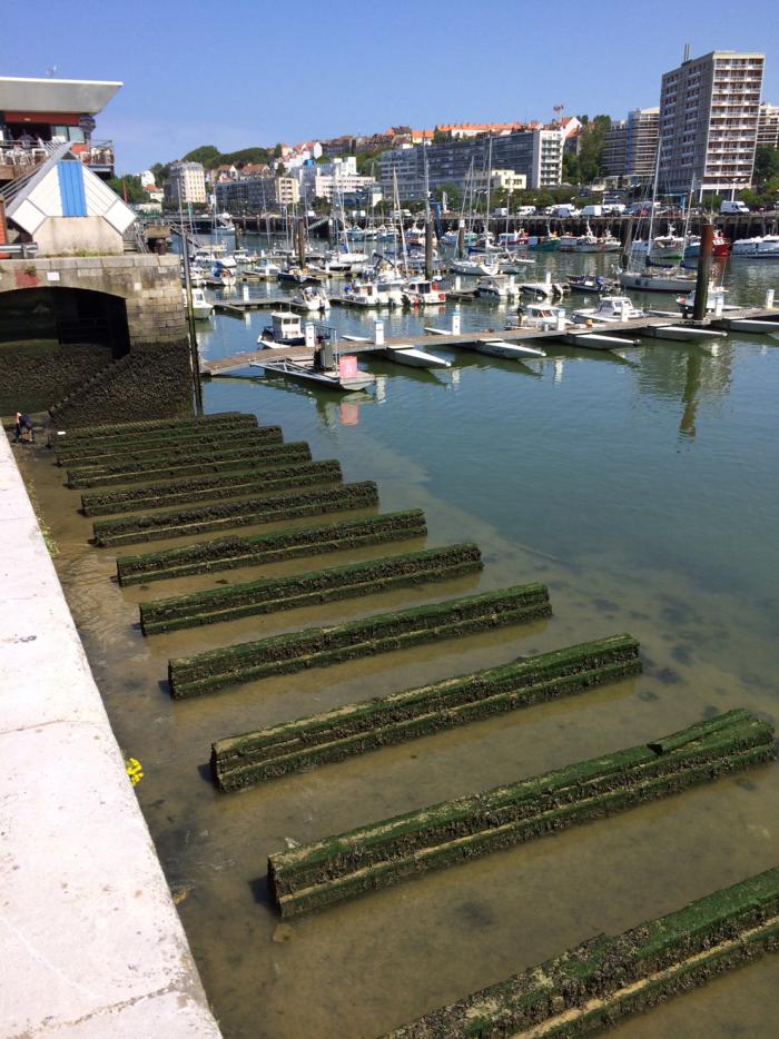 Gril échouage - Port de Boulogne sur mer - marina